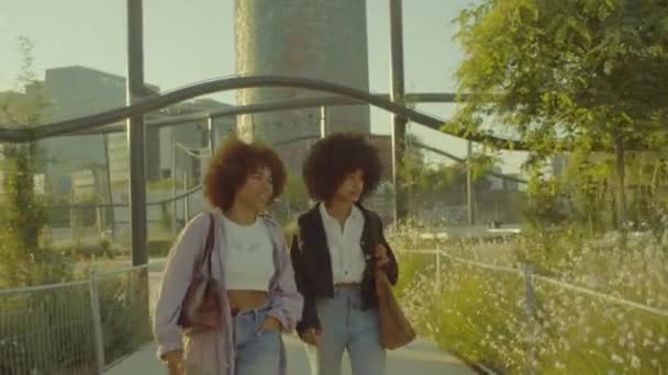 Due donne nere di razza mista con enormi afro a piedi nel parco e la fotocamera li seguono — Video Stock