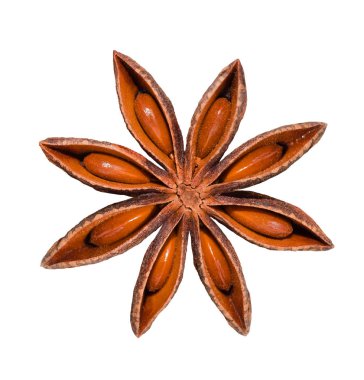  Star anise isolated on white background clipart