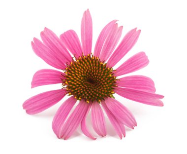 Çuval bezi dokusu arkaplanını kapat