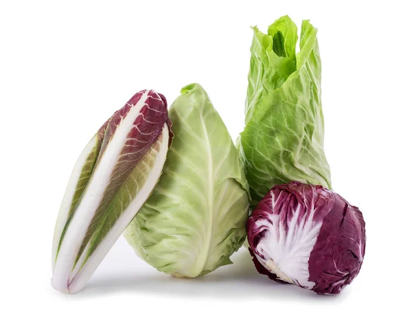 Chicory Cabbage Radicchio End Salade Isolated White — Stock Photo, Image