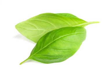 Beyaz arkaplanda taze fesleğen yaprakları