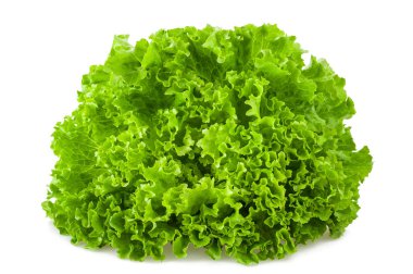 Beyaz arka plan üzerinde izole frisee salata