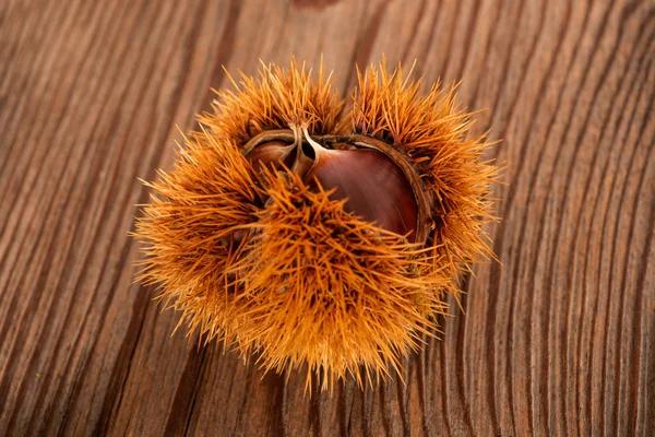 Castanhas Doces Frescas Casca Uma Mesa — Fotografia de Stock