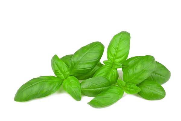 Fresh Basil Isolated White — Stock Photo, Image