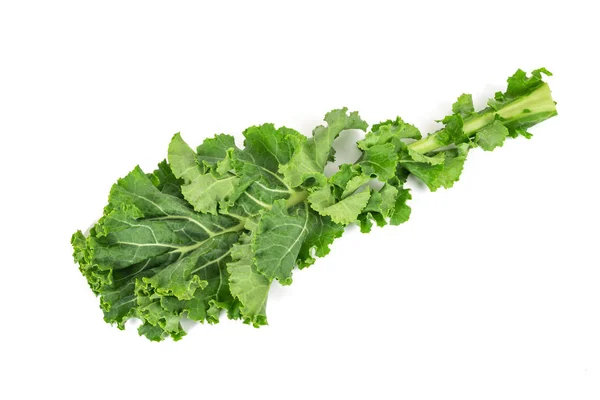 Green Curly Kale Isolated White Background — Stock Photo, Image