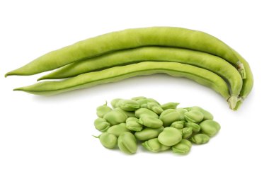 fava fasulyesi (Vicia faba)