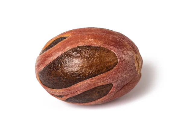 Nutmeg — Stock Photo, Image