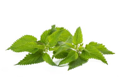 Nettles