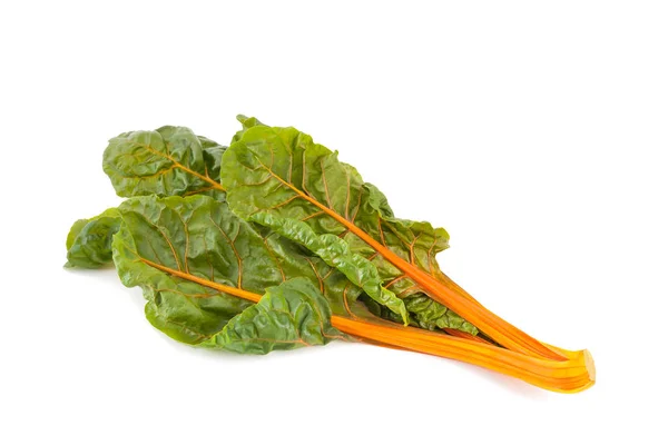 Swiss chard — Stock Photo, Image