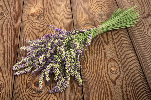 Bouquet de fleurs de lavande — Photo