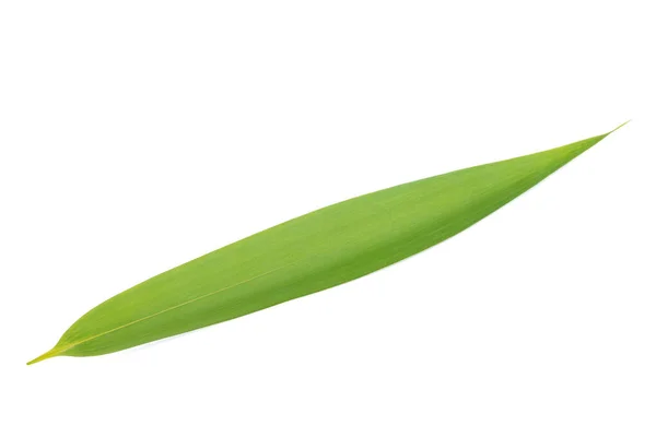 Bamboo leaf — Stock Photo, Image