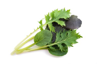 Asya salata karışımı 