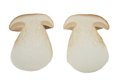 dilimlenmiş boletus mantar