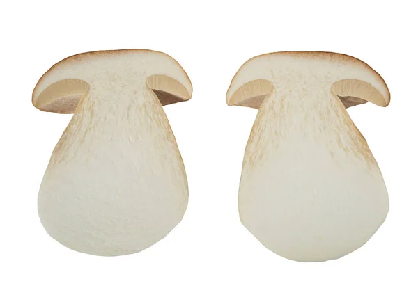 Sliced boletus mushrooms — Stock Photo, Image