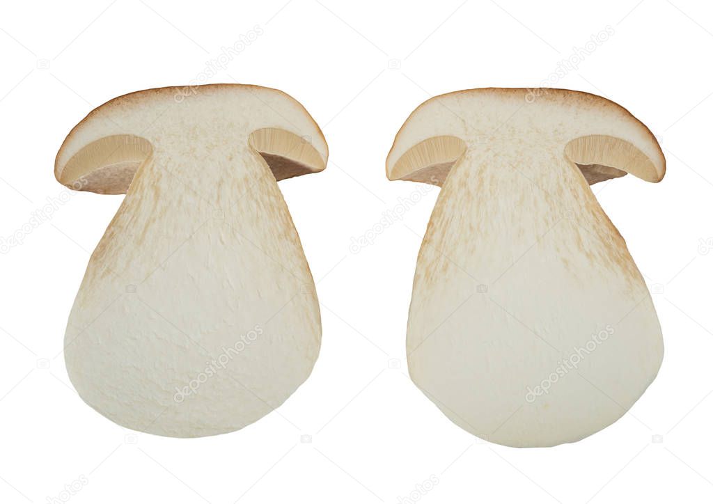 sliced boletus mushrooms