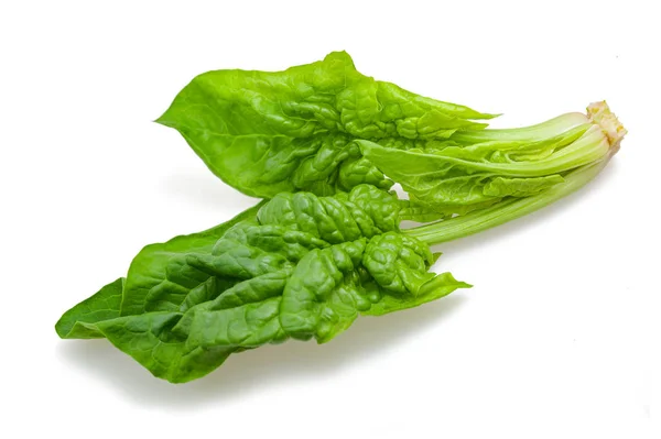 Green fresh spinach — Stock Photo, Image