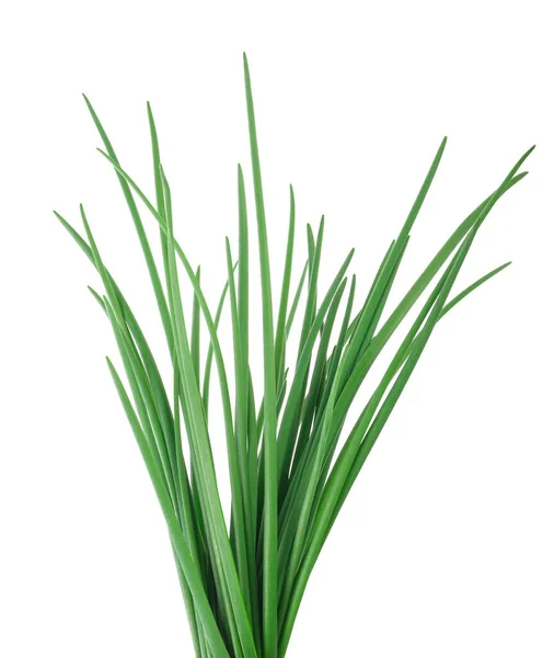 Chives Aisladas Sobre Fondo Blanco — Foto de Stock