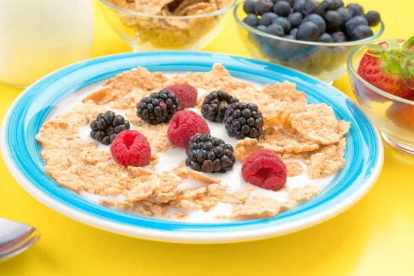 colorful plate with raspberries blackberries cereal and milk in yellow background