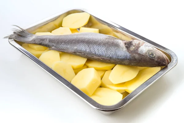 sea bass on potato wheels on cookie sheet steel isolated