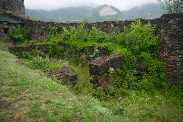 Ruins of Maglich castle — Stock Photo, Image