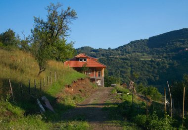 Rashka District, Sırbistan - 30 Haziran 2018: Studenica Manastırı çevresinde köyü evde.