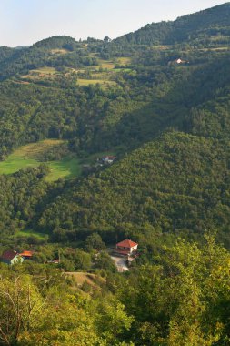 Studenica Manastırı, Sırbistan çevresinde o dağlarda. Komşu yamaç, Otoban, evler ve otlaklar için görüntüleyin