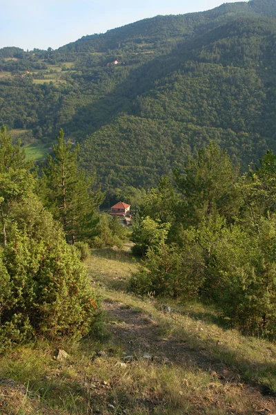 在塞尔维亚斯图泰尼察修道院附近的山区 查看邻近的斜坡 道路和房屋 — 图库照片