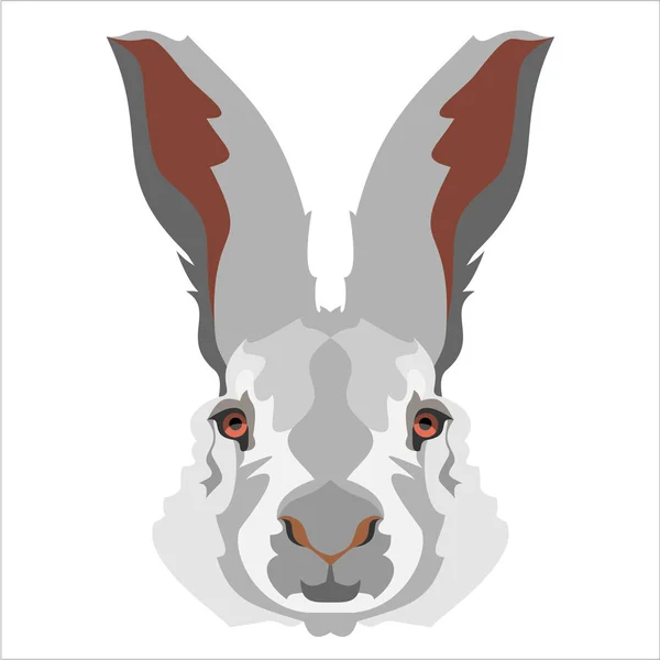 Coniglio Semplicemente Illustrazione Vettoriale — Vettoriale Stock