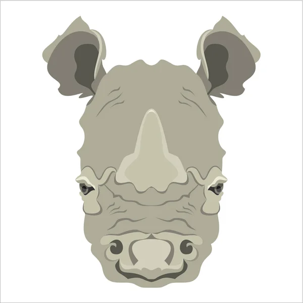 Rhino Egyszerűen Vektor Illusztráció — Stock Vector