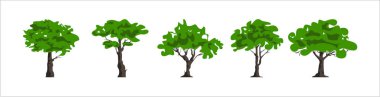ağaçlar kümesi sadece vektör illüstrasyon    