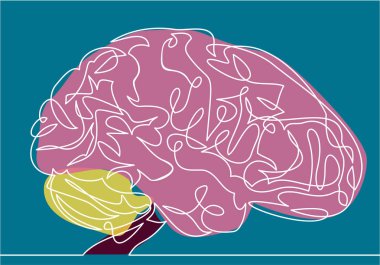 insan beyni sadece vektör illüstrasyon   