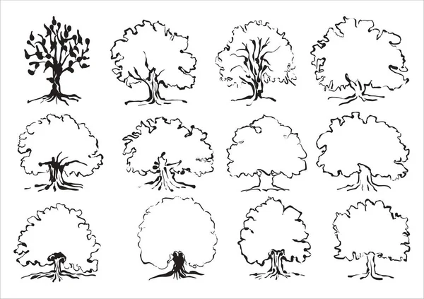Reihe Von Bäumen Einfach Vektorillustration — Stockvektor