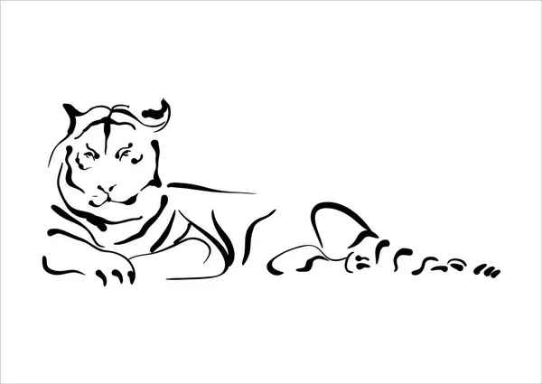 Tigre Simplesmente Ilustração Vetorial — Vetor de Stock