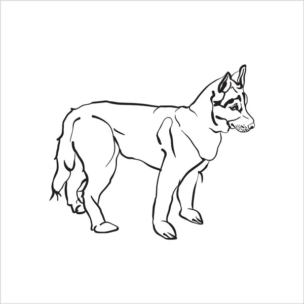 Hund Helt Enkelt Vektor Illustration — Stock vektor