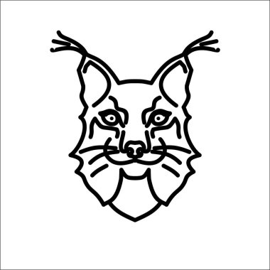 vaşak sadece vektör illüstrasyon   