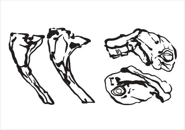 Bones Simply Vector Illustration — Stock Vector