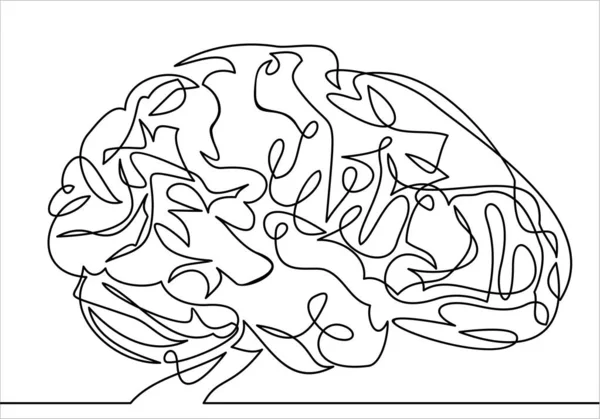 Menselijk Brein Gewoon Vector Illustratie — Stockvector