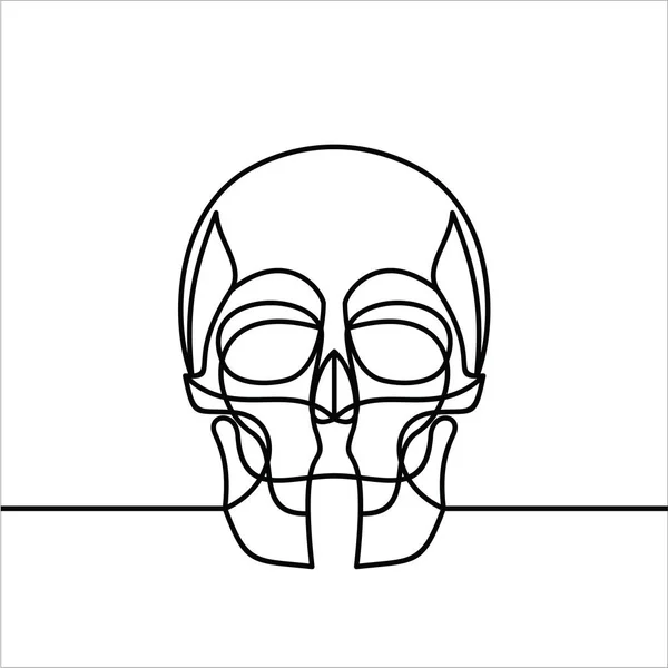 人間の頭蓋骨単にベクトルイラスト — ストックベクタ