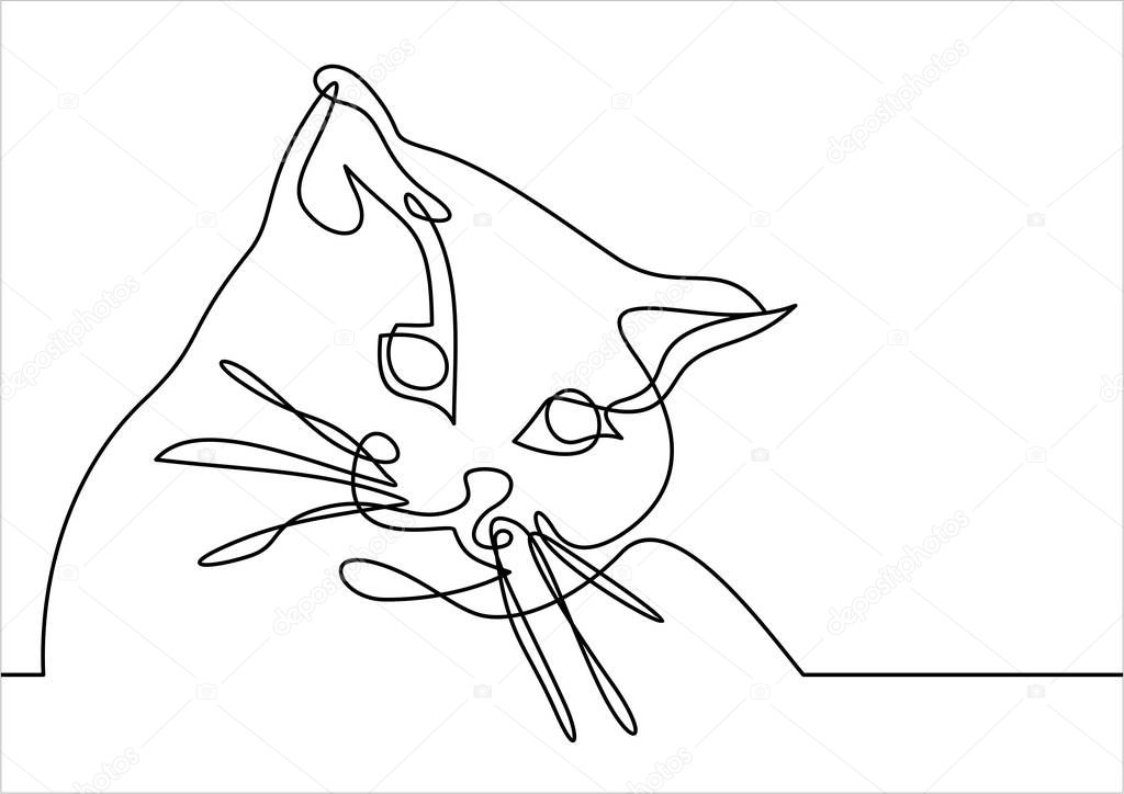 cat simply vector illustration    