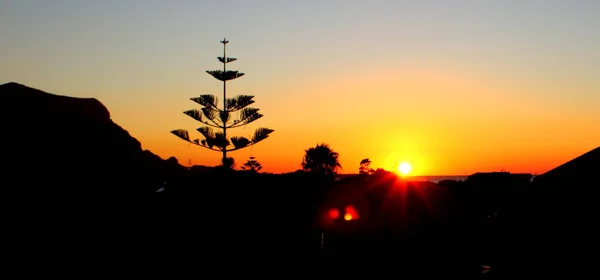 Збудливе Зображення Заходу Сонця Силуетом Проміжної Події Задньому Плані Деревами — стокове фото
