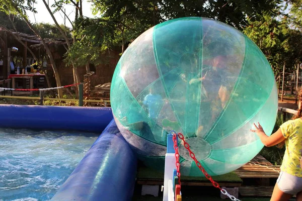 Havuzda yüzen şişme topun içinde eğlenen çocuk görüntüsü.