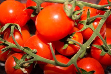 Yıkanmaya ve tadını çıkarmaya hazır küçük ve lezzetli domateslerin canlandırıcı yakın plan görüntüsü.