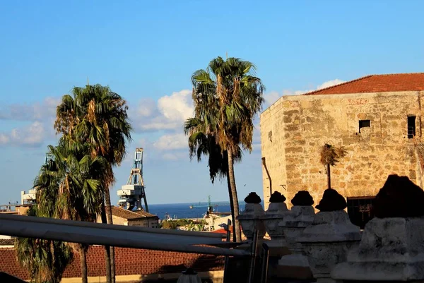 Palermo Talya San Domenico Kilisesinin Arka Planında Ticari Limanın Palmiyeleri — Stok fotoğraf