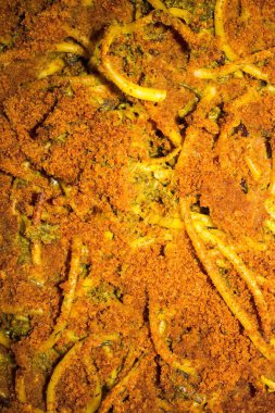 Karnabahar, çam fıstığı, kuru üzüm ve kızarmış ekmek kırıntılarından oluşan 