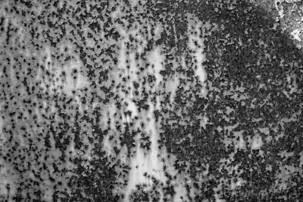 evocative black and white image of texture of rusty steel plate