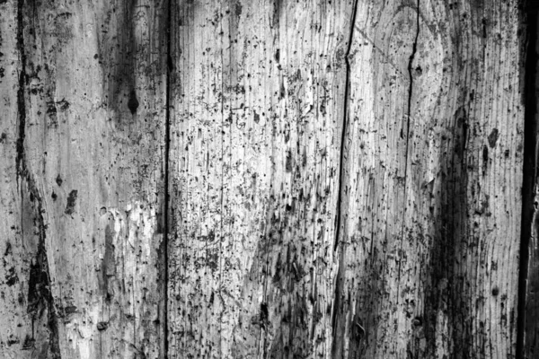 Evokatives Schwarz Weiß Bild Der Textur Alter Vertikaler Holzplanken — Stockfoto