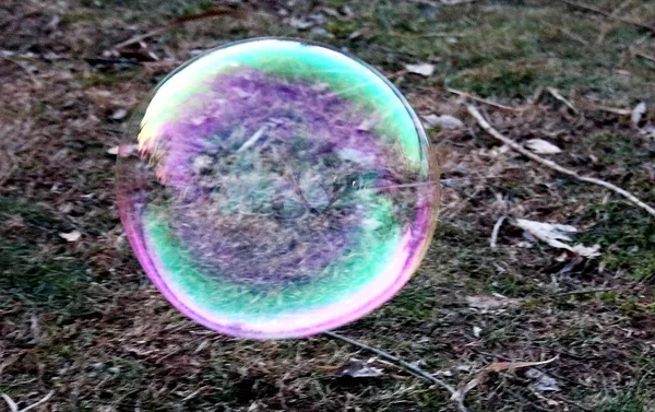 a giant bubble floating free in the open on a meadowin winter at sunset