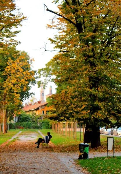 Avenida Árvore Forrada Por Sol Outono Com Figura Mansitting Banco — Fotografia de Stock