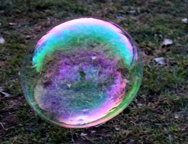 a giant bubble floating free in the open on a meadow in winter at sunset