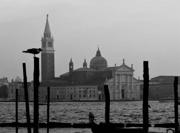 Benátky Itálie Prosince 2018 Evokativní Černobílý Obraz Kostela San Giorgio — Stock fotografie